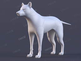 野狼白模Wolf Base Mesh