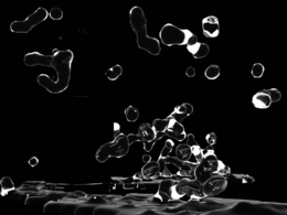 Showweel from Suhonmai_小手