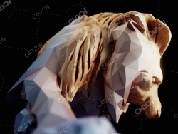 减面低多边形风格中文汉化C4D插件Reducer v1.1.0 For Cinema 4D R20-R25