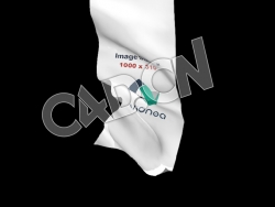 C4D展开的竖旗动画模型 flag