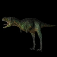 恐龙3D模型：奥卡龙(Aucasaurus)