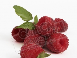 覆盆子水果带叶子的新鲜树莓C4D模型 Raspberry