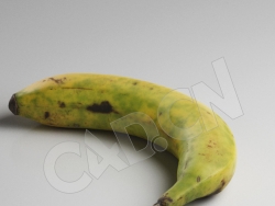C4D一根长黑斑的香蕉水果模型 Banana