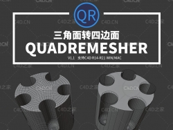 C4D模型四边形网格拓扑C4D插件MAC版 Exoside QuadRemesher v1.1