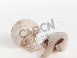 白蘑菇蔬菜切开的蘑菇C4D模型 White mushroom