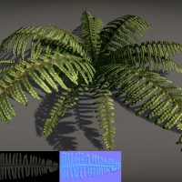 蕨类植物模型：Free Fern Pack