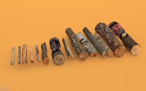 超精细树干柴火木头C4D模型 wood 3D model