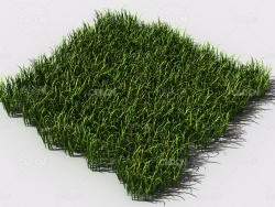 野草植物C4D模型 pattern_wild-grass-18
