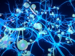C4D神经元细胞群医学模型