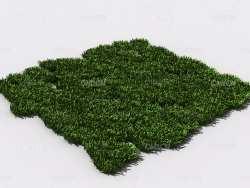 花纹草坪草地绿草植物C4D模型 pattern_lawn-grass-7