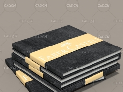 精装书籍C4D模型 book hard cover