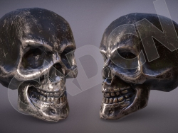 金属质感骷髅头骨C4D模型 Skull