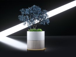 商超装饰：景观树