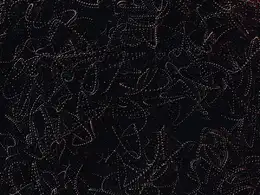 C4D实用工程第295季：密集的DNA链生长动画C4D工程文件 c4d project