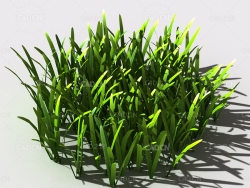 草坪草地绿草植物C4D模型 lawn-grass-c1