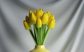 郁金香花瓶、郁金香插花C4D模型 Tulip vase
