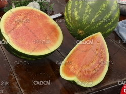 切开的一半西瓜 watermelon