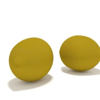 柠檬3D模型 lemon sliced