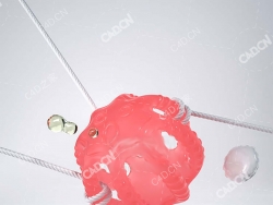 绳子捆绑的胶球章鱼球C4D OCTANE创意工程