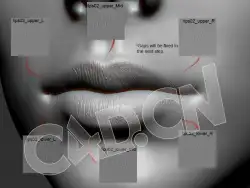 27张人物嘴唇细节纹理深度贴图素材 Artstation – Lips Detail Alpha Pack