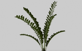 景观盆景植物C4D模型 Potted plant