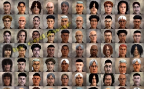 头发3D模型合集 FaceGen Hair Models