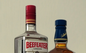 瓶装洋酒C4D模型 bottles 3d model