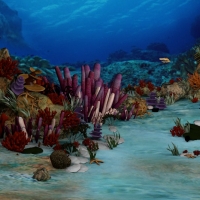 海底世界C4D模型（海藻、海葵、珊瑚、海星、海草） Underwater world