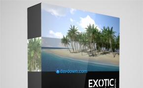 海岛植物3D模型 CGAxis Volume 15 MAX: Exotic Plants