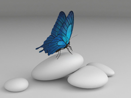 蝴蝶飞舞C4D动画模型 butterfly