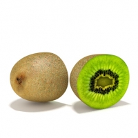 半个猕猴桃C4D模型 Yangtao Kiwifruit