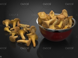 一盘食用蘑菇C4D模型 Mushroom