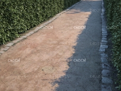 绿化带泥土道路贴图模型 green belt path c4d model