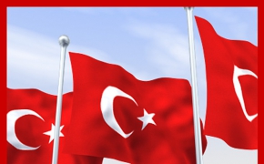 旗子C4D模型 Flag 3d models