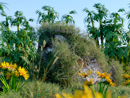 Octane Render For C4D自然场景渲染练习