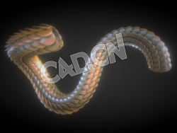 C4D龙鳞龙身模型 Dragon Skin