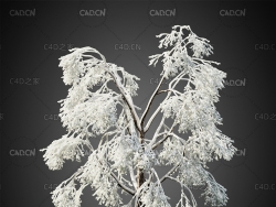 冬天树挂雾凇树木C4D模型HeliosVegetation Vol.10