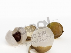 剥开的桂圆水果龙眼C4D模型 Longan