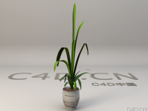 办公室景观盆景植物C4D模型 Bonsai plants