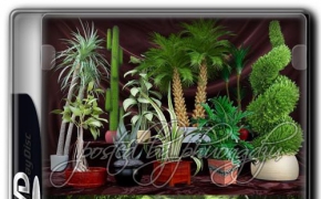 室内植物3D模型合集 Evermotion – Archmodels vol 75