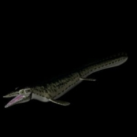 恐龙3D模型：沧龙（Mosasaur）