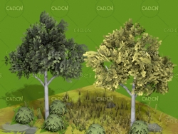 低面卡通树木植物C4D模型 Cartoon trees