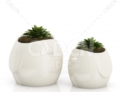 C4D小鸟花盆办公室客厅盆栽绿植模型