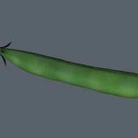 豆角3D模型 beans