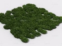 花纹草坪草地绿草植物C4D模型 pattern_lawn-grass-5