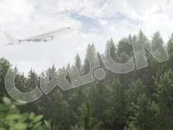 C4D森林上空飞过去的大飞机客机模型