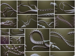 变异生物尾巴触手3D模型TENTACLES