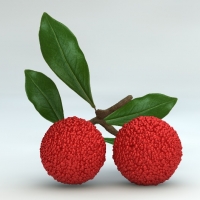 梅子 杨梅3D模型 Bayberry 3d model