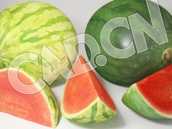 C4D西瓜水果模型 Water Melon 3d Model