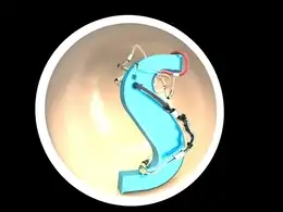 C4D半圆包裹的S字母动画工程文件